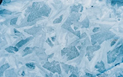 Najlepsze zabudowy do busów transportowych – chłodnie, izotermy i plandeki